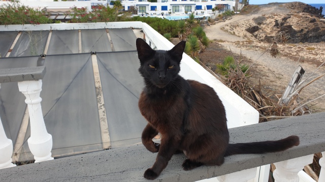 ../images/fotoalbum/lanzarote21/2021-06-20 17.32.24